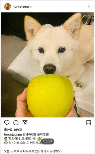 윤석열 전 검찰총장의 반려견 SNS '토리스타그램' 캡처